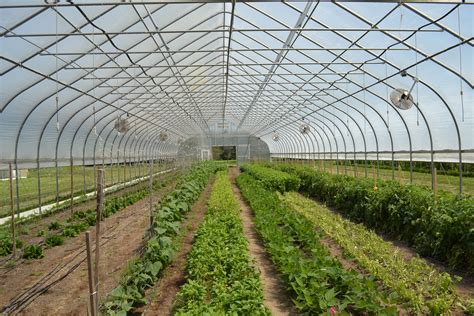 High Tunnel Greenhouse - 30x96 Extend Your Season Rimol Greenhouses