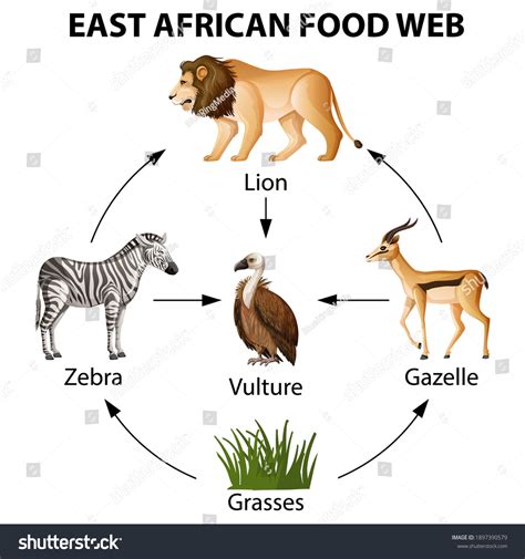 113,563 Food Chain Images, Stock Photos & Vectors | Shutterstock