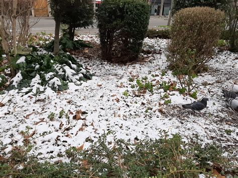 Vague de froid après le verglas quand est ce que la neige tombera à