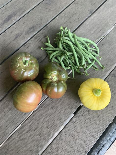 Loving The Light Thunderstorms 😊💦☀️🥒🍅 Rvegetablegardening