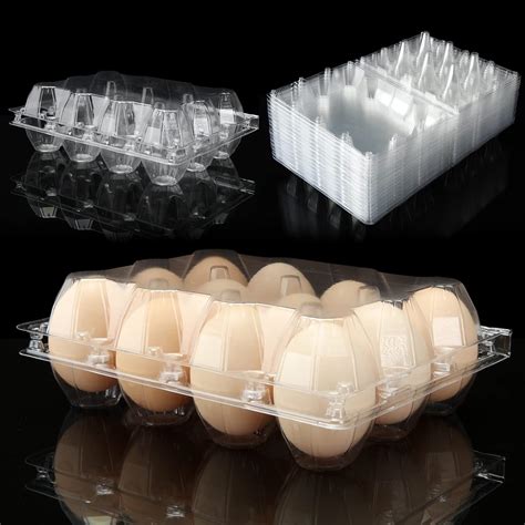 Amazon FVIEXE 48PCS Egg Cartons Cheap Bulk Empty Plastic Chicken