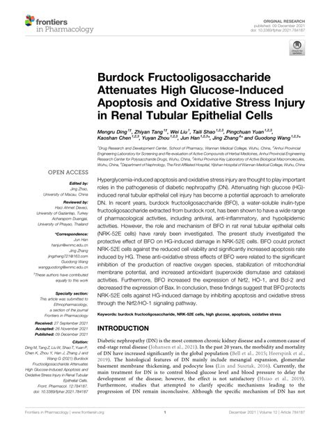 Pdf Burdock Fructooligosaccharide Attenuates High Glucose Induced