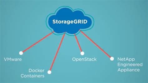 Netapp Storagegrid Dandk Organizer