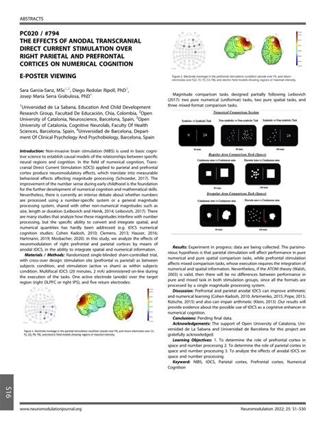 PDF PC020 794 THE EFFECTS OF ANODAL TRANSCRANIAL DIRECT CURRENT