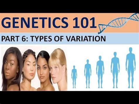 Genetics Part Types Of Variation Cxc Biology Tutor Youtube