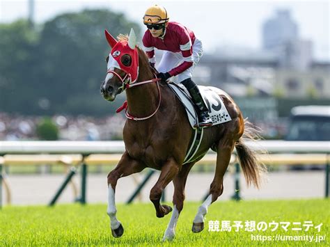 【ロワイヤリュー賞】武豊騎手が凱旋門賞前日にgⅠに騎乗 リリーハートは11着｜競馬ニュース｜競馬予想のウマニティ