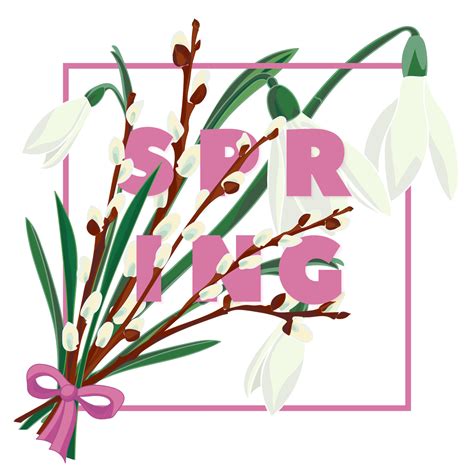 Spring Floral Background With Beautiful Snowdrop And Pussy Willow Flower Vector Art At