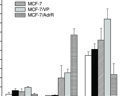 Expression Of Ceramidase Isoforms In MCF 7 And Drug Resistant MCF 7