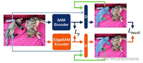 Sam轻量级改进edgesam论文解读edgesam Prompt In The Loop Distillation For On