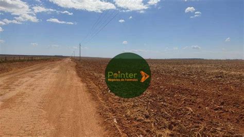 Fazenda Sítio 50100000 m² em Zona Rural em Nova Maringá por R 270 000