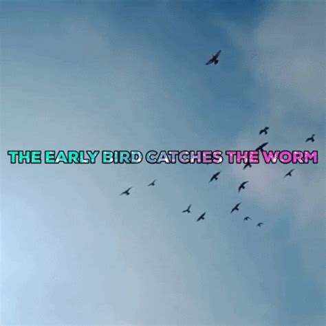 Early-bird-catches-the-worm GIFs - Find & Share on GIPHY