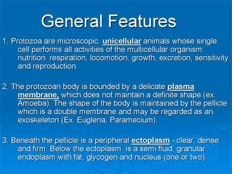 Protozoa As Parasites Of Human Being презентация онлайн