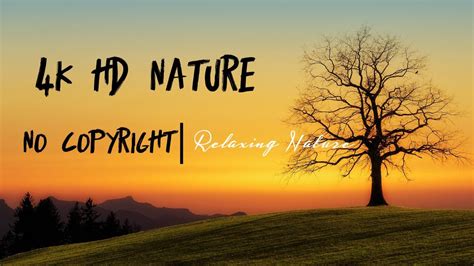 No Copyright Nature Videonature 4k Hd Video Youtube