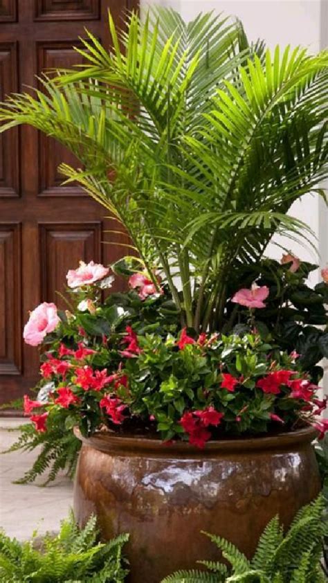 Colorful Potted Plants For Your Outdoor Space