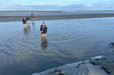 Gemeinsam Zum Blauortsand Schutzstation Wattenmeer