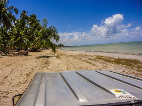 Praia de Xaréu - Maragogi/AL - Brazil | Praia, Maragogi