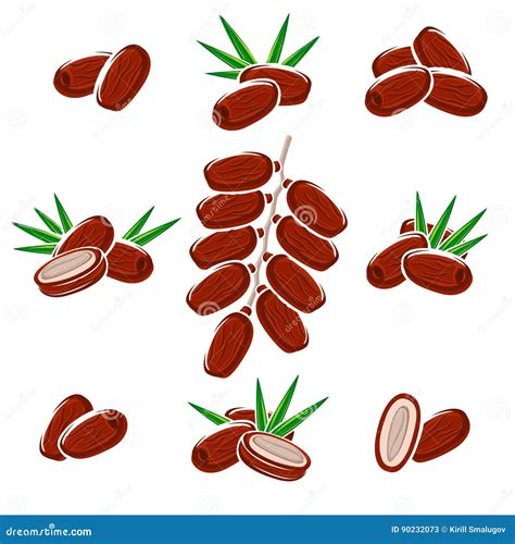 日期果子集合 向量 向量例证 插画 包括有 查出 回教 食物 穆斯林 自然 健康 设置 点心 90232073