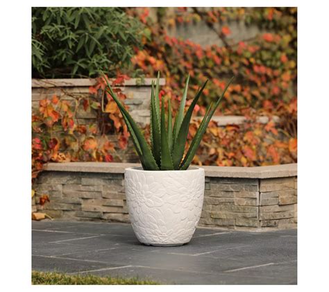 Luxen Home Round White Floral Design Mgo Planter Qvc