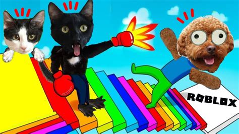 Gato Y Perro Jugando En Las Escaleras De Colores De Roblox Videos De