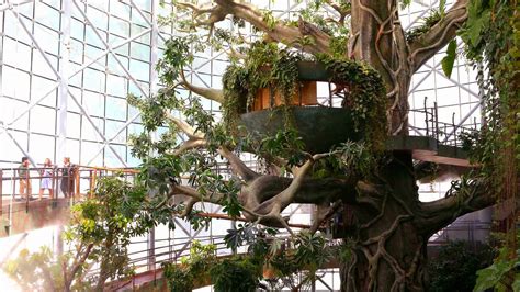 Green Planet Dubai Indoor Amazon Rainforest Ticketstodo