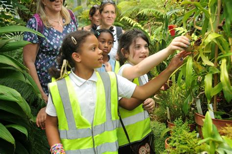 Children Take A ‘walk Through Time At The Bristol Botanic Garden