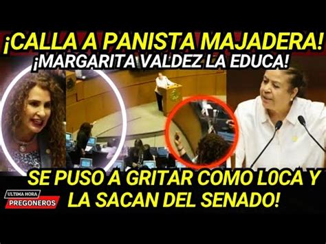 Senadora Margarita Valdez Educa A Panista Calla A Majadera Gina