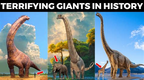 The Biggest Dinosaurs Ever Lived On Earth The Most Terrifying Giants In History Youtube