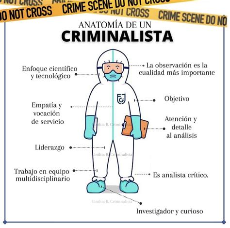 Criminalistica Y Las Preguntas De Oro Artofit