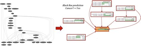 Markov blanket representation of a local interpretable Bayesian network ...