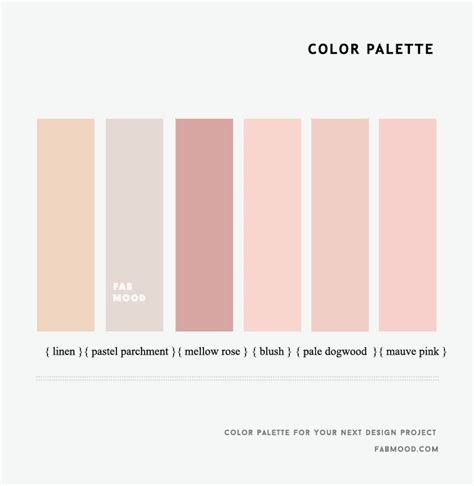 Neutral Pink Color Palette Hex Codes - img-plumtree