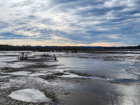 Billy Frank Jr Nisqually National Wildlife Refuge Walk Flickr