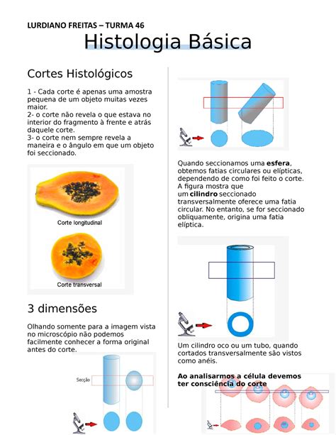 Histologia B Sica Resumo Lurdiano Freitas Turma Histologia