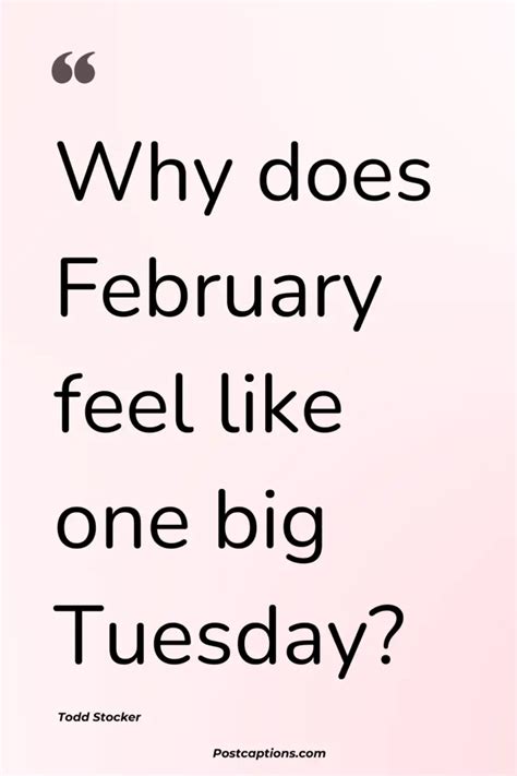 50 Best February Quotes and Captions - PostCaptions.com