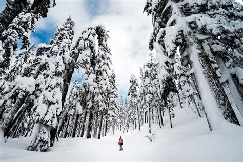 Guide to Snowshoeing in Durango | Visit Durango, CO | Official Tourism Site