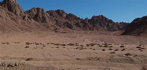 Where is the Sinai desert