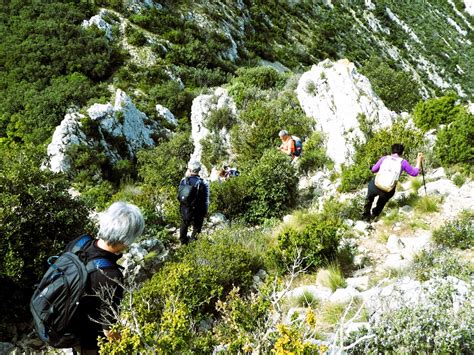 Les Cr Tes Des Alpilles De Romanin Au Rocher Des Deux Trous Alpilles