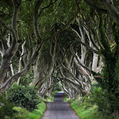 Arriba Foto Canta Irlanda Un Viaje Por La Isla Esmeralda Actualizar