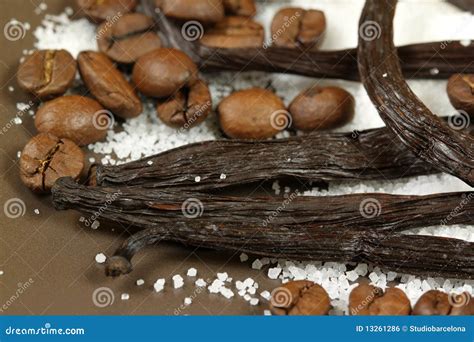 Vanilla and coffee beans stock photo. Image of gourmet - 13261286