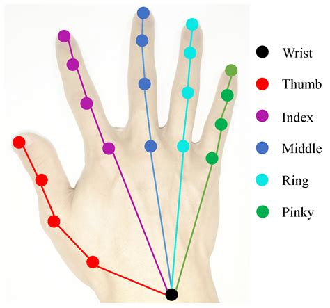 GitHub - quangdaist01/enhancing-2D-hand-pose-estimation-and-tracking-on-surgical-videos-using ...