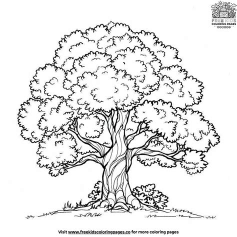 beautiful tree coloring pages fun  educational  kids