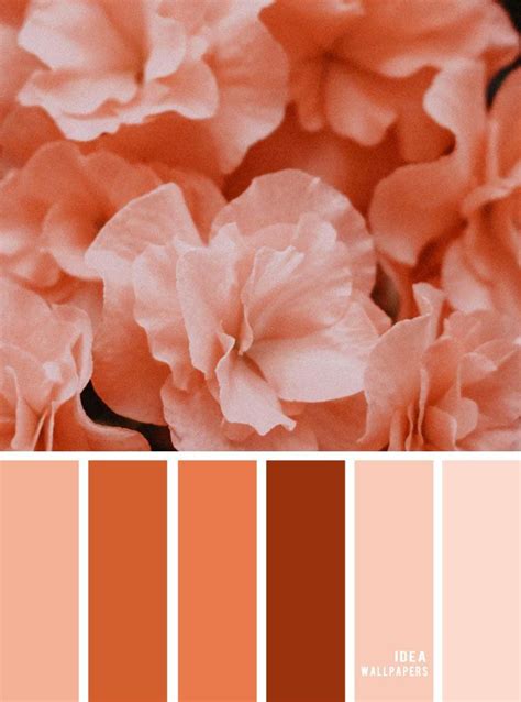 Pantone Palette Pantone Colour Palettes Peach Color Palettes Colour