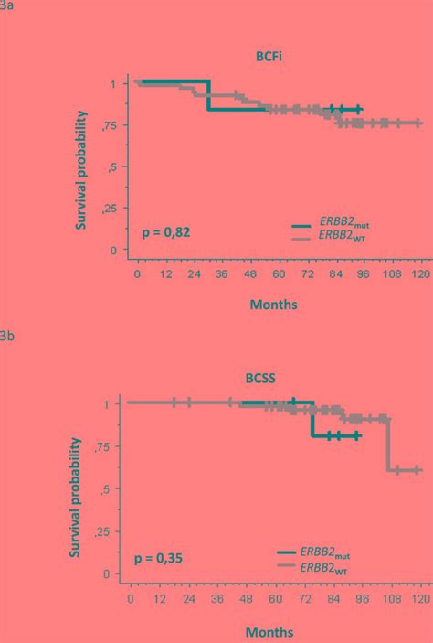 Erbb2 Mutations Associated With Solid Variant Of High Grade Invasive