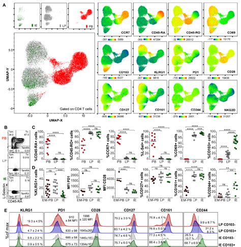 Human Intestinal CD4 T Cells Are Phenotypically Distinct From Their