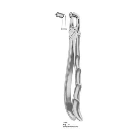 Fig Lower Third Molars With Fitting Handle Dental Extraction Forceps