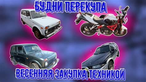 Будни перекупа. Первый дизель на продажу. Стелс 600 кубов. Нива 2 ...
