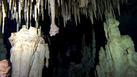 Xtabay Cenote Beyond Diving Cave Diving In Mexico