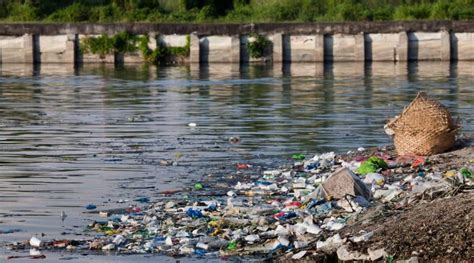 Contaminación Del Agua Qué Es Causas Consecuencias Y Soluciones