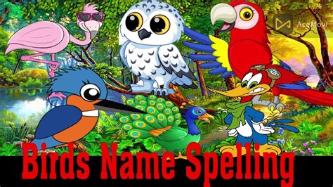 Birds Name পাখির নাম Pre School Learn English Words Learning