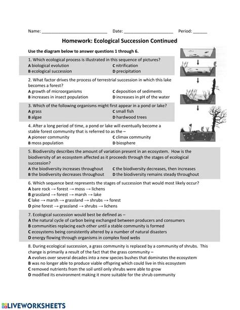 Bioman Ecological Succession Worksheet