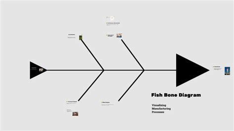 Fish Bone Diagram by Laura Daily on Prezi